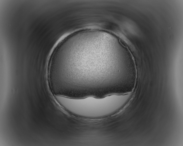 X0000084551240200703021459