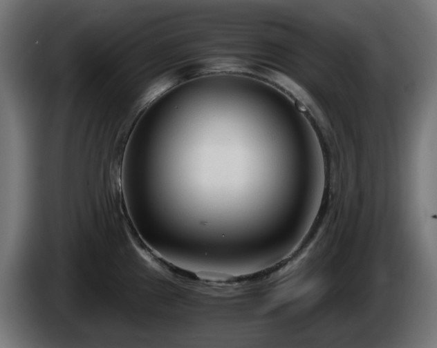X0000084551241200703021459