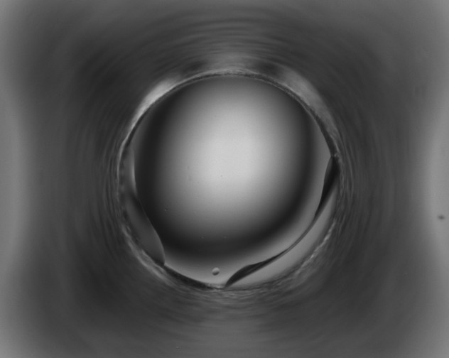 X0000084551242200703021459
