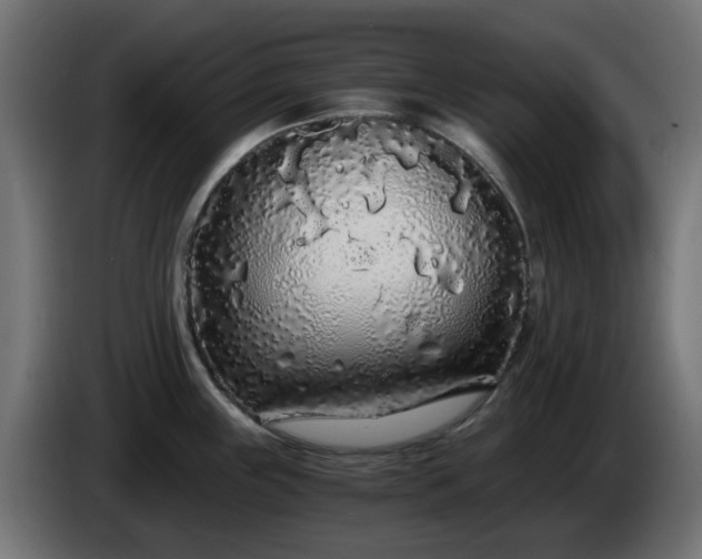X0000084551243200703021459
