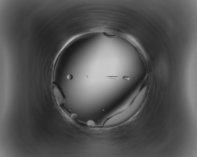 X0000084551244200703021459