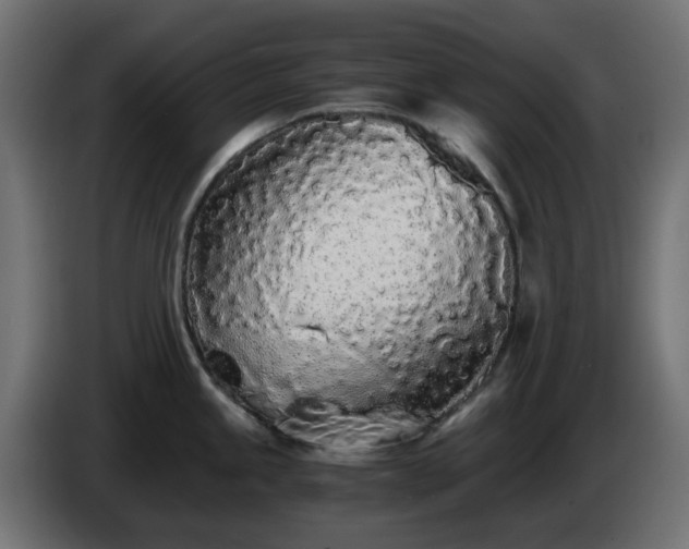 X0000084551245200703021459