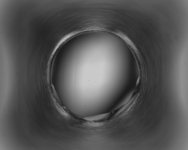X0000084551246200703021459