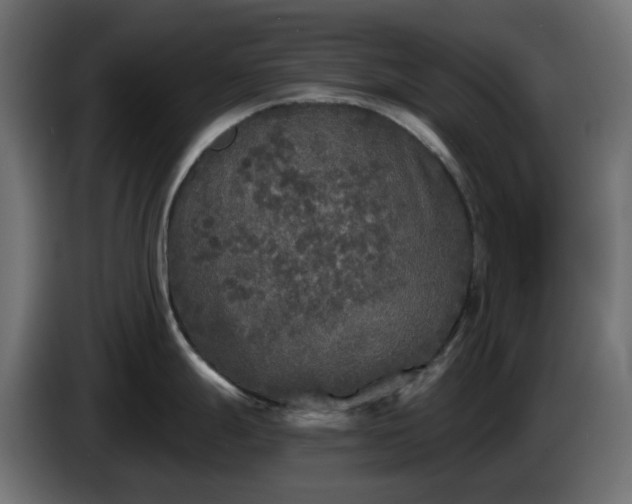 X0000084551247200703021459
