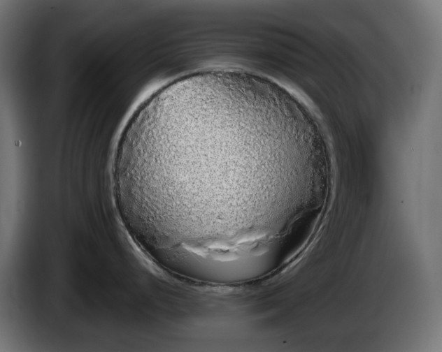 X0000084551248200703021459