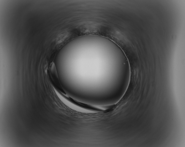 X0000084551250200703021458