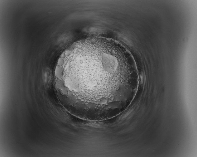 X0000084551251200703021458
