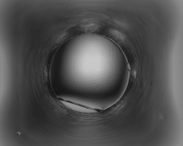 X0000084551252200703021458