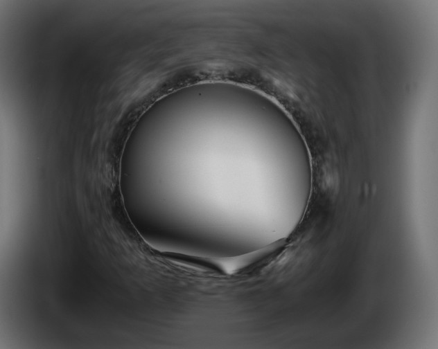 X0000084551253200703021458