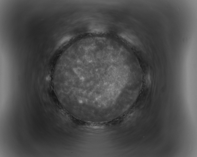 X0000084551254200703021458