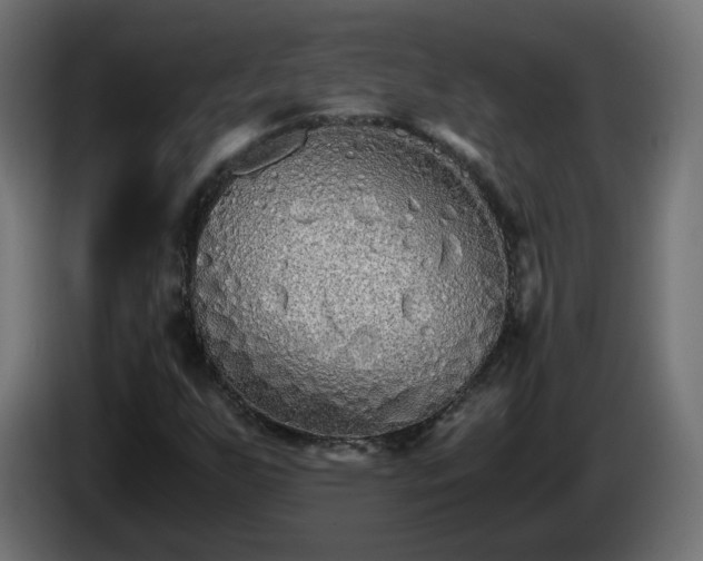 X0000084551255200703021458