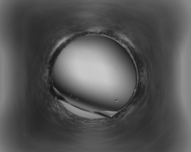 X0000084551256200703021458