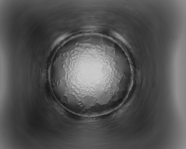 X0000084551259200703021458