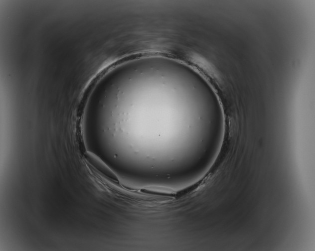 X0000084551260200703021458