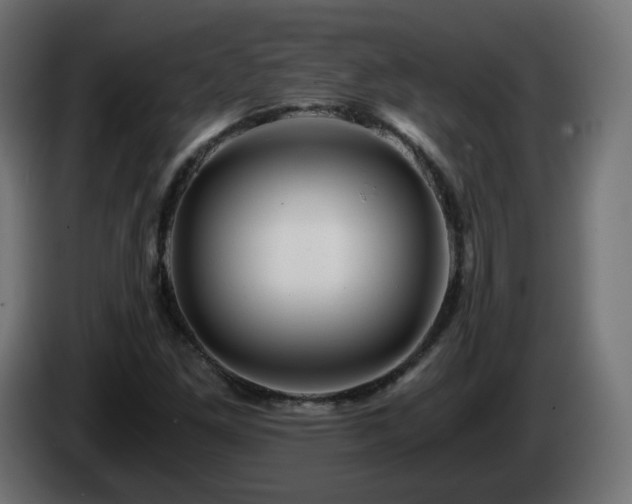X0000084551261200703021458