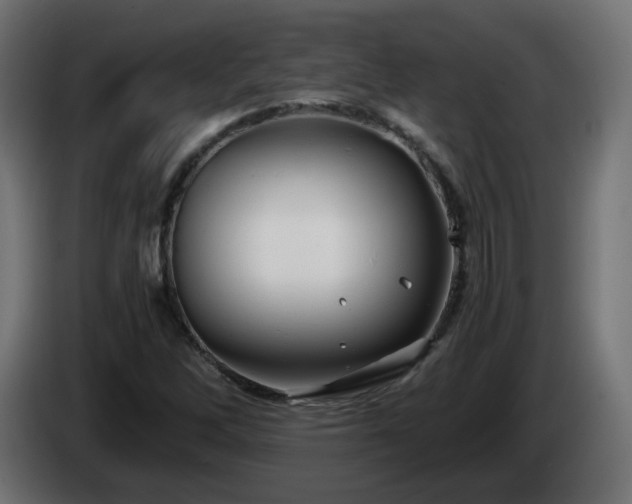 X0000084551262200703021458