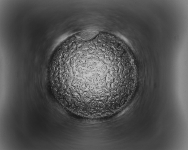 X0000084551263200703021458