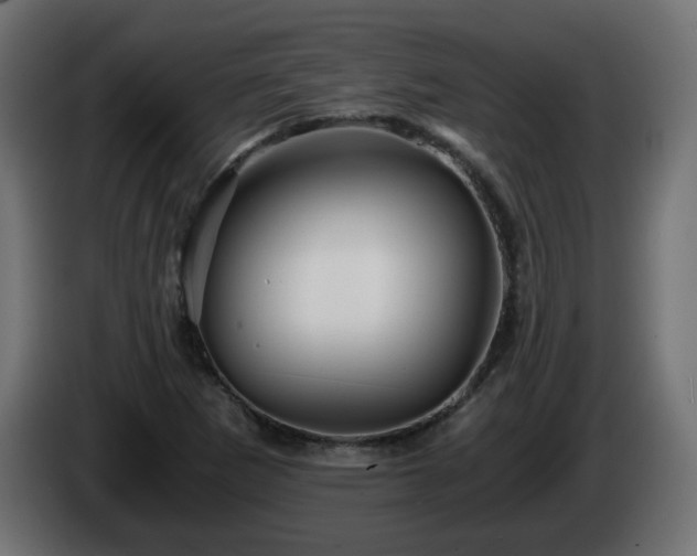 X0000084551265200703021458