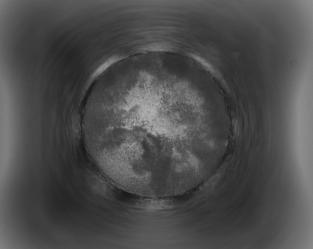 X0000084551266200703021458