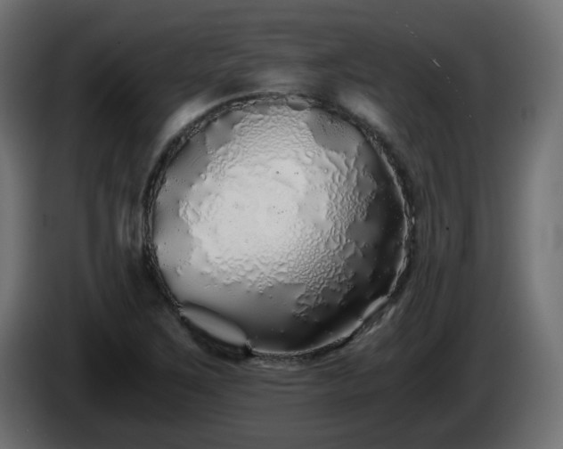 X0000084551267200703021458