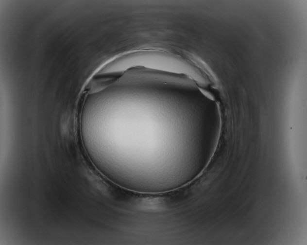 X0000084551268200703021458