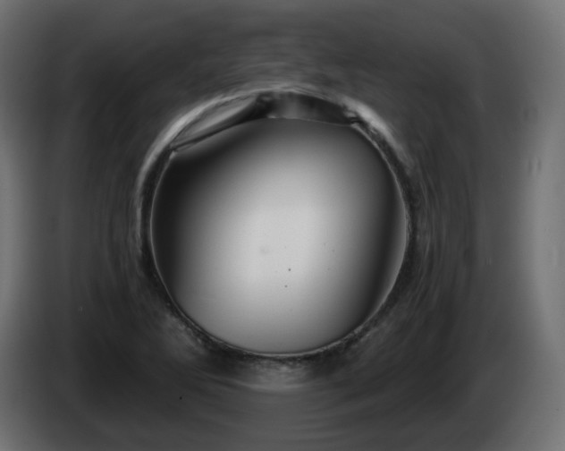 X0000084551270200703021458