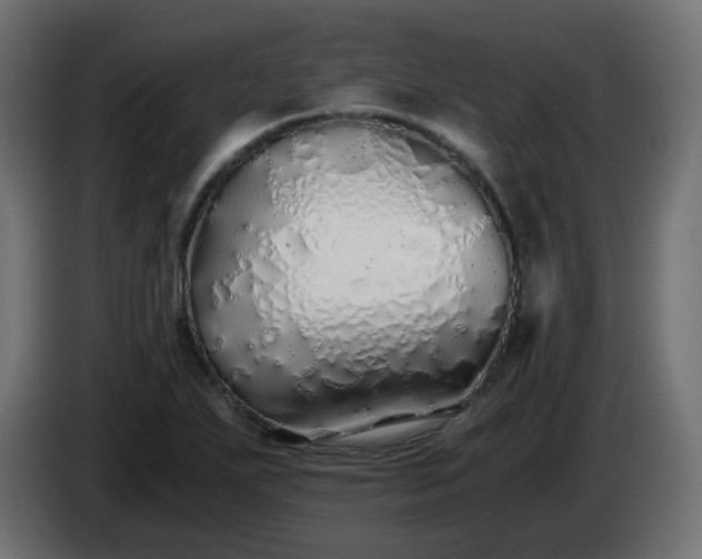 X0000084551271200703021458