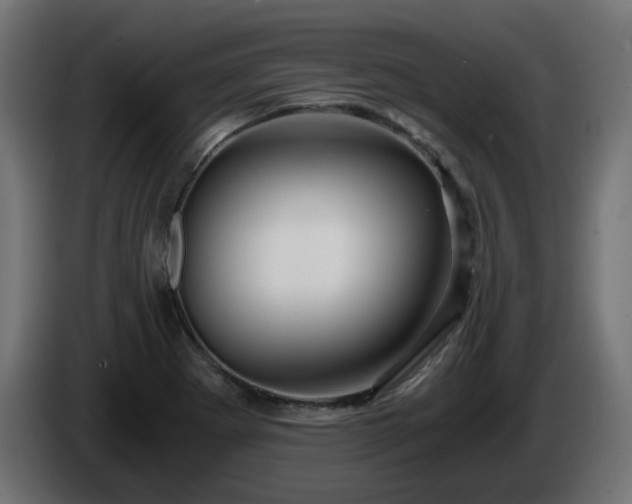 X0000084551273200703021458