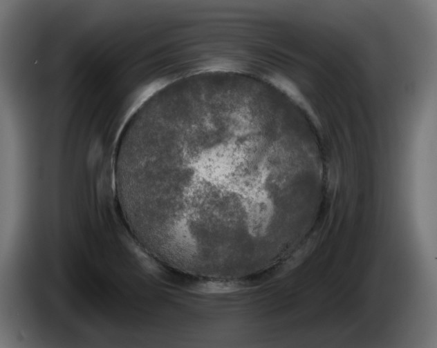 X0000084551274200703021458