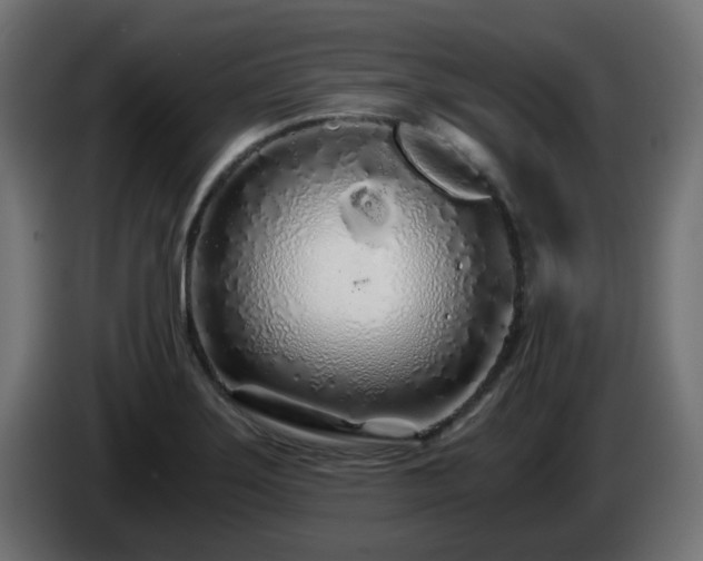 X0000084551275200703021458