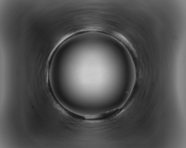 X0000084551276200703021458
