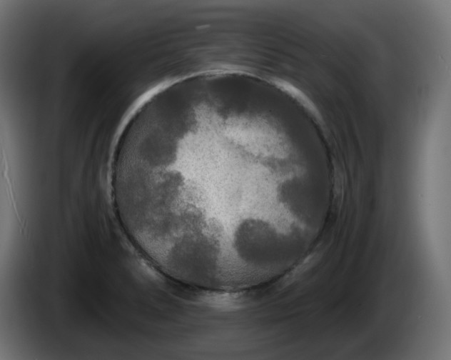 X0000084551278200703021458