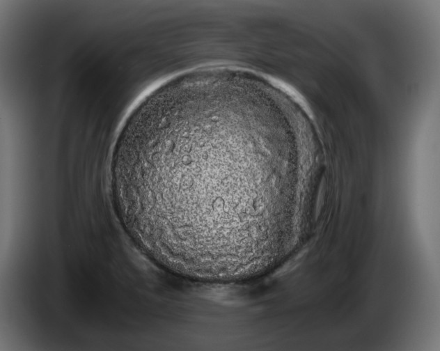 X0000084551279200703021458