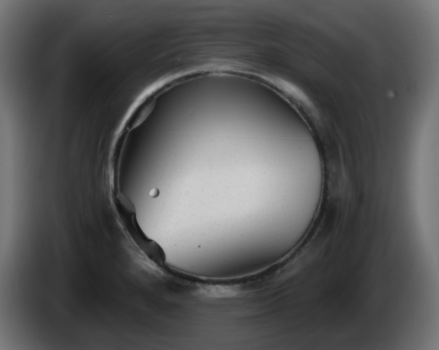 X0000084551280200703021458