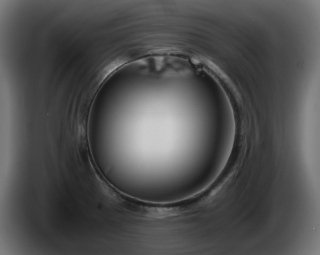 X0000084551281200703021458