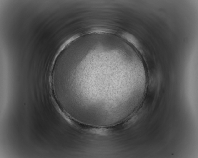 X0000084551282200703021458