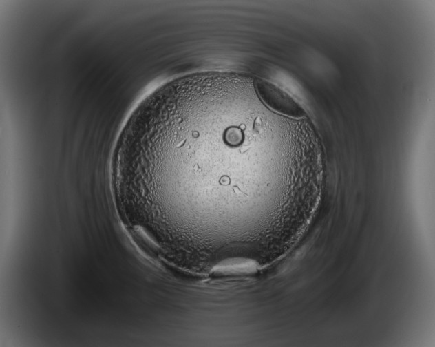 X0000084551283200703021458
