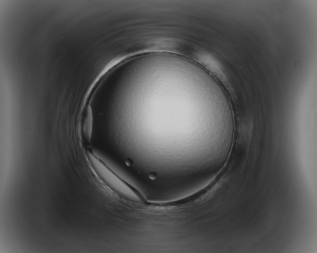 X0000084551284200703021458
