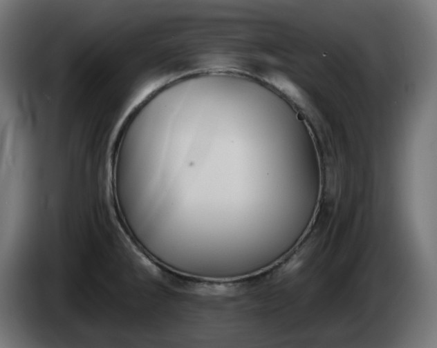 X0000084551286200703021458