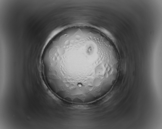 X0000084551287200703021458