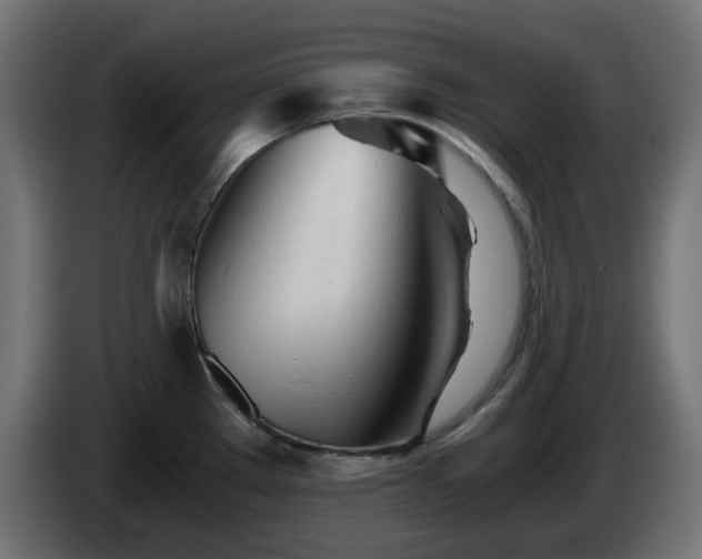 X0000084551289200703021458