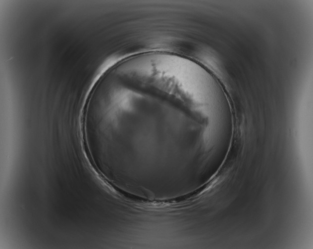 X0000084551291200703021458