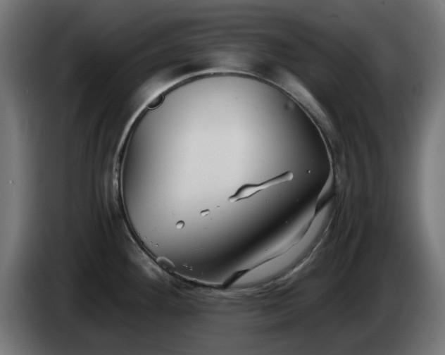 X0000084551292200703021457