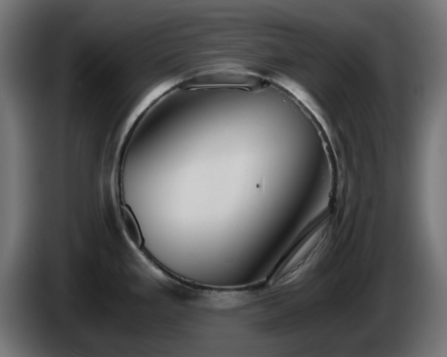 X0000084551293200703021457