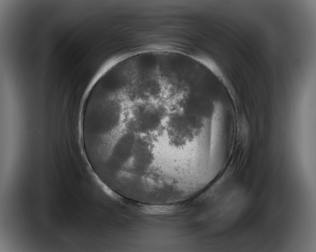 X0000084551294200703021457