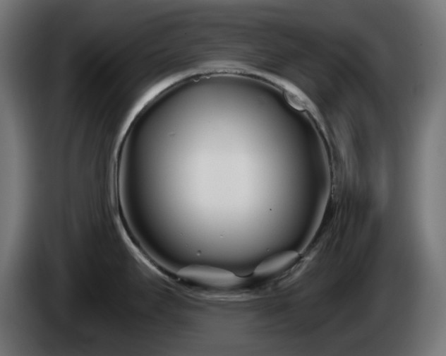 X0000084551295200703021457