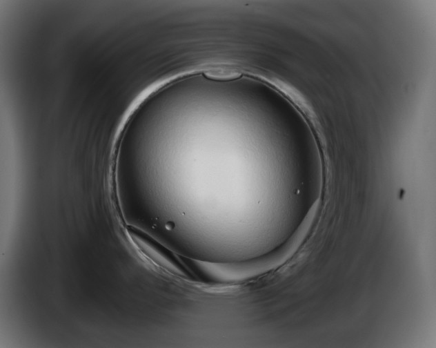 X0000084551296200703021457