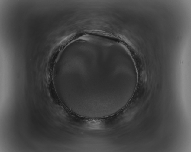 X0000084551303200703021457