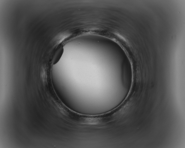 X0000084551305200703021457