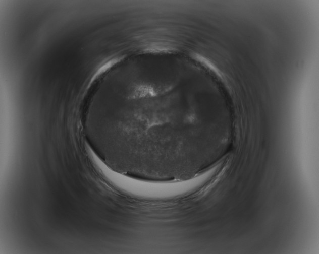 X0000084551306200703021457